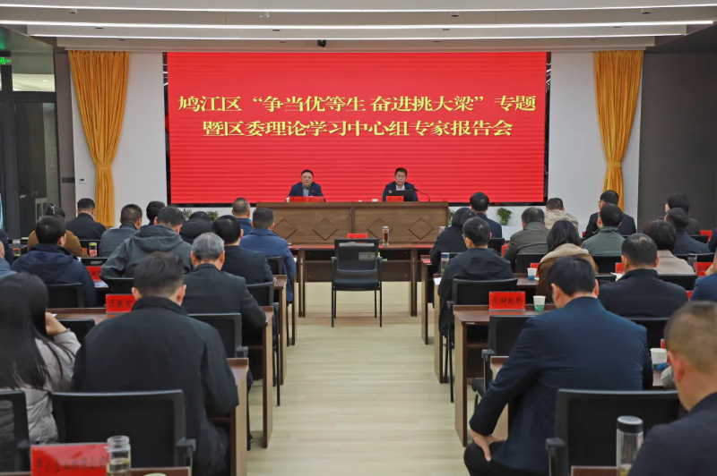 區(qū)委召開“爭當(dāng)優(yōu)等生 奮進(jìn)挑大梁”理論學(xué)習(xí)中心組專家報(bào)告會